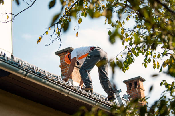 Best Steel Roofing  in Canterwood, WA