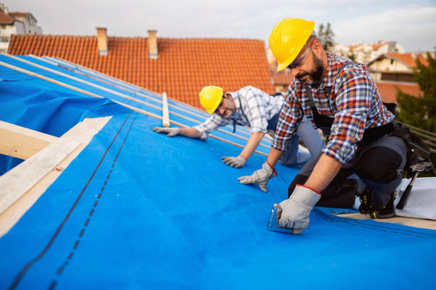Steel Roofing in Canterwood, WA