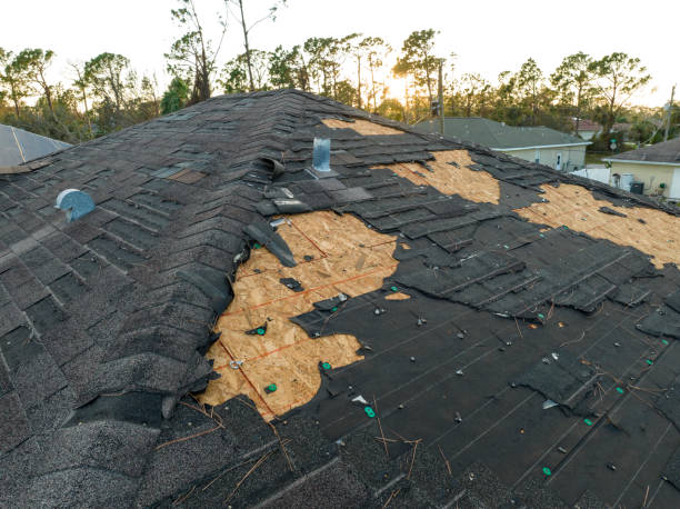 Best Roof Coating and Sealing  in Canterwood, WA